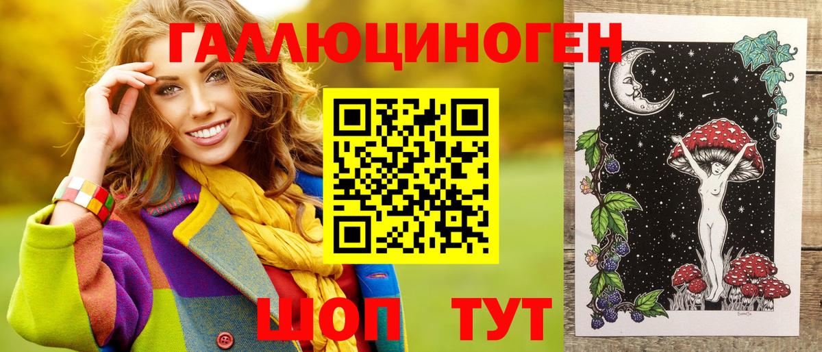Галлюциногенные грибы Psilocybe  Вход с VPN  Нерюнгри 