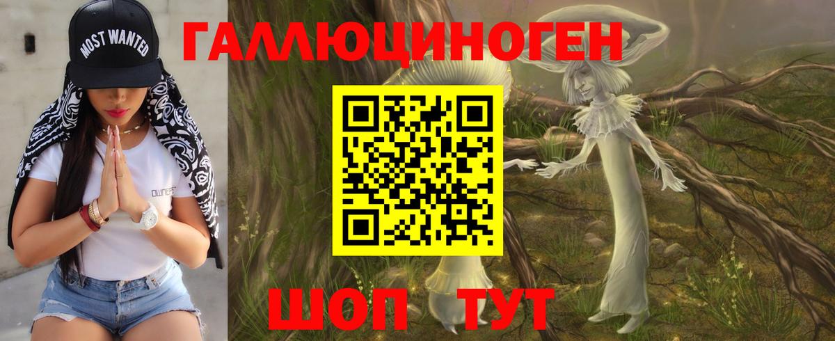 Псилоцибиновые грибы Magic Shrooms Нерюнгри